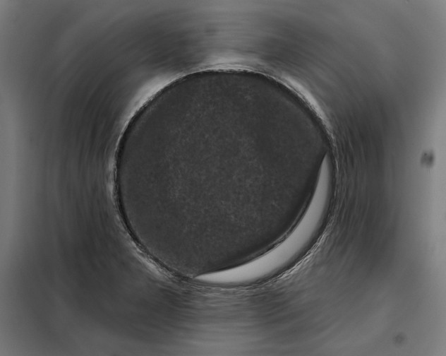 X0000097891277200804041302