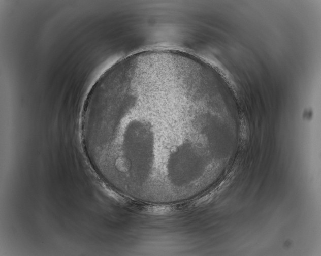 X0000097891278200804041302