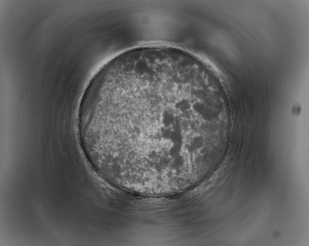 X0000097891279200804041302