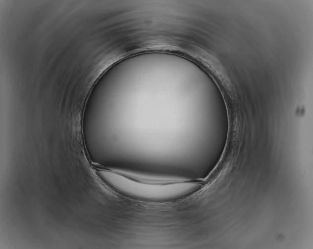 X0000097891281200804041302