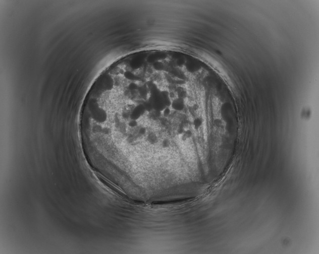 X0000097891283200804041302