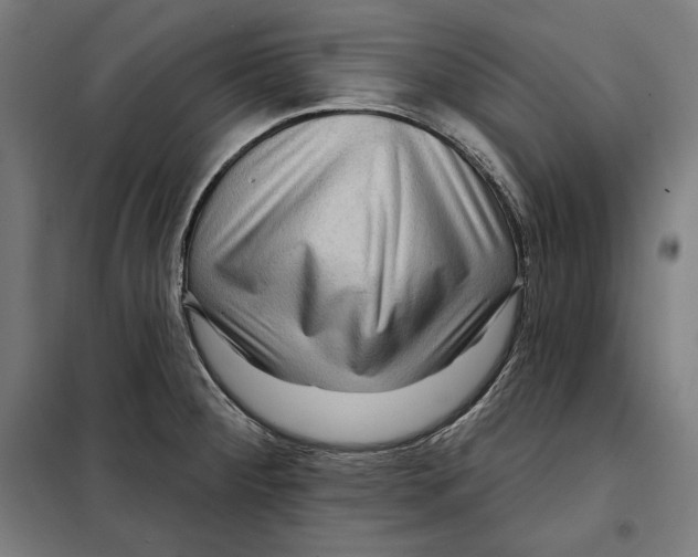 X0000097891284200804041302