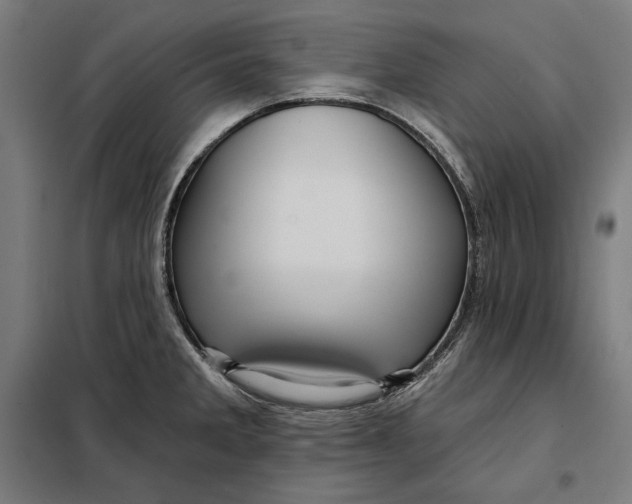 X0000097891285200804041302