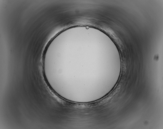 X0000097891286200804041301