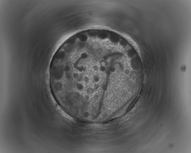 X0000097891287200804041301