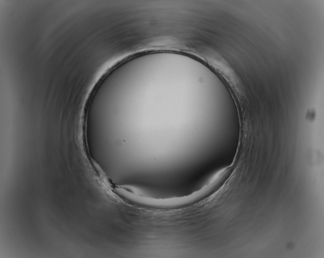 X0000097891288200804041301