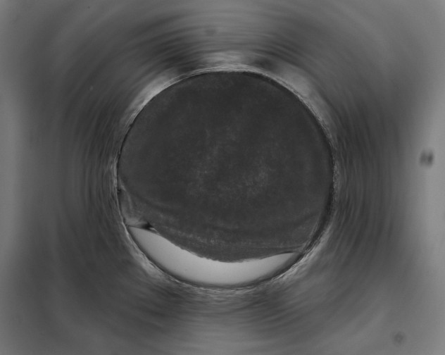 X0000097891289200804041301