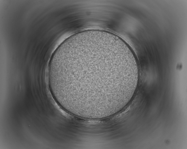 X0000097891290200804041301