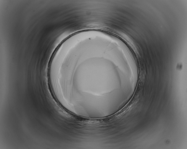 X0000097891291200804041301