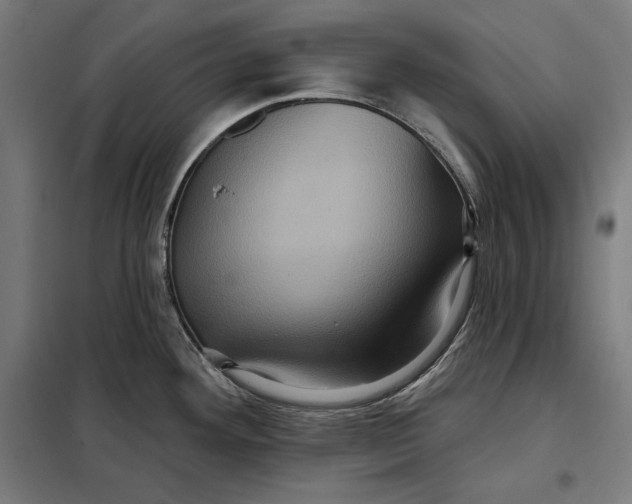 X0000097891292200804041301