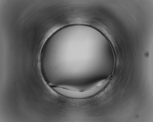 X0000097891293200804041301