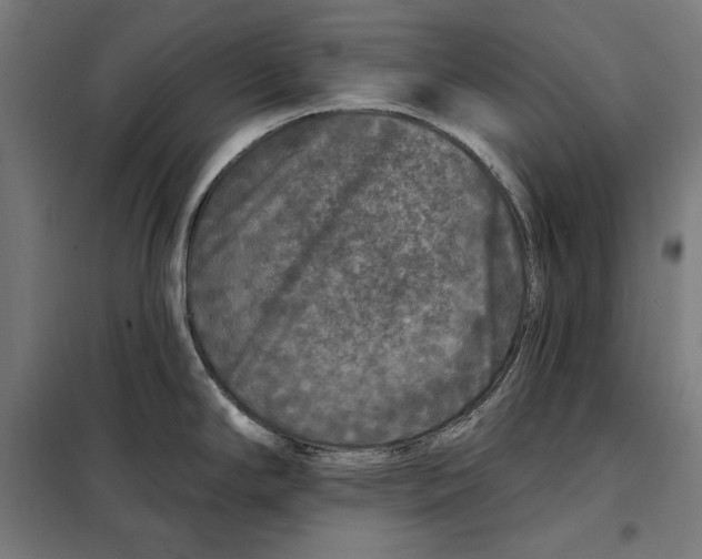 X0000097891294200804041301