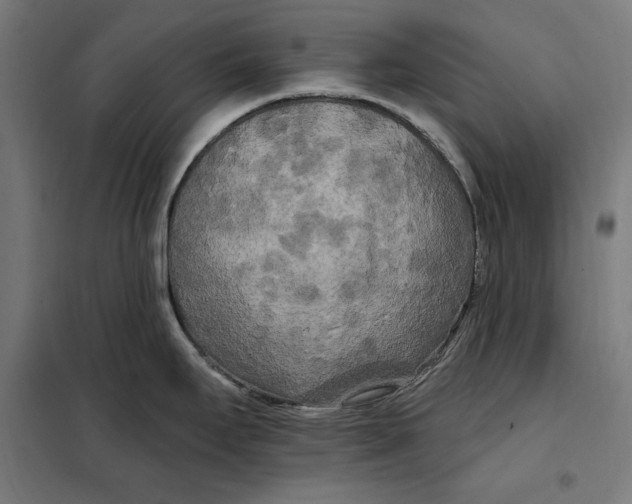 X0000097891295200804041301