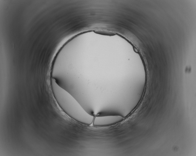 X0000097891296200804041301