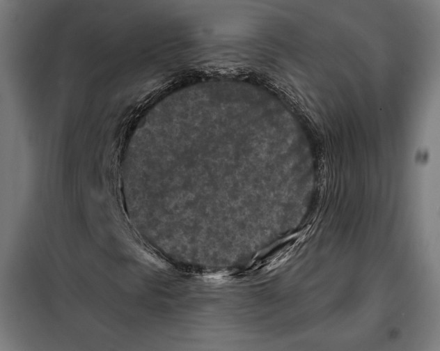 X0000097891297200804041301