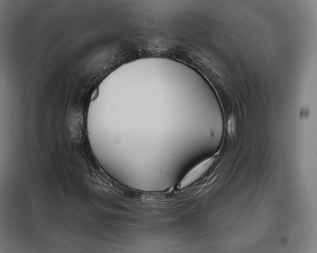 X0000097891299200804041301