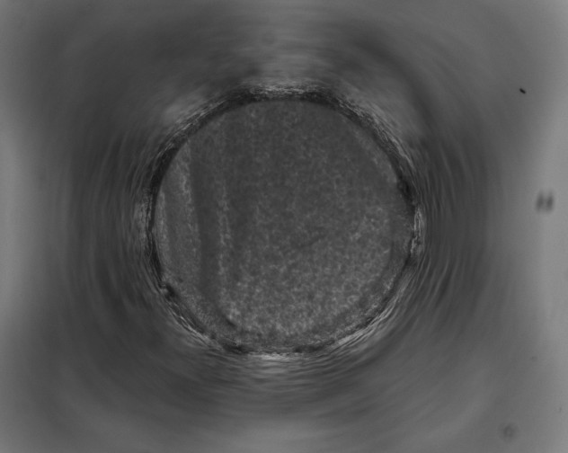 X0000097891300200804041301