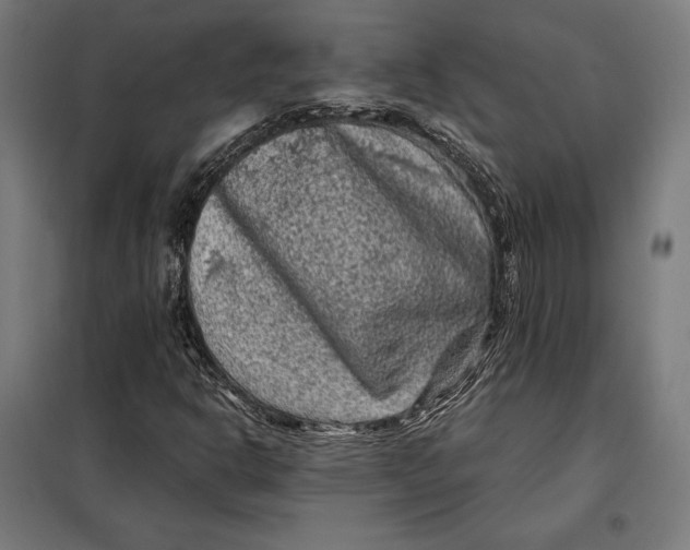 X0000097891302200804041301