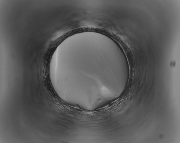 X0000097891303200804041301