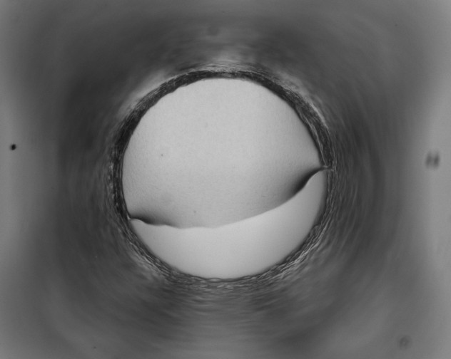 X0000097891304200804041301