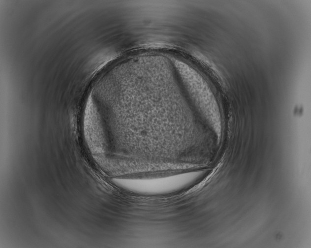 X0000097891305200804041301