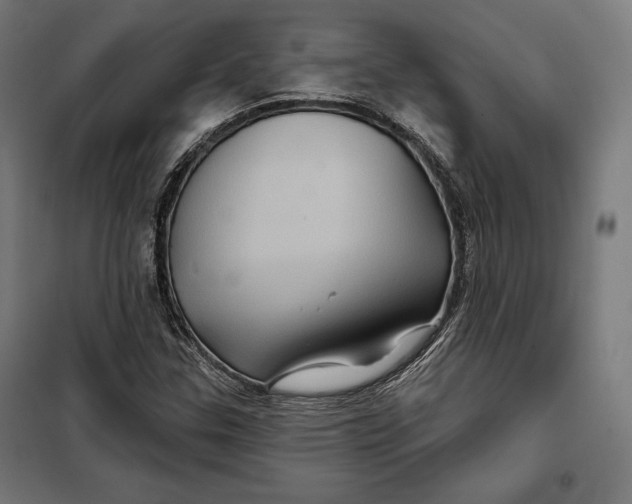 X0000097891307200804041301