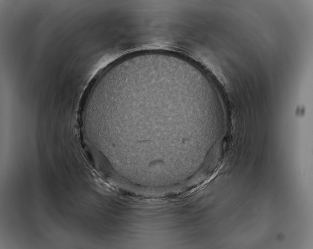 X0000097891308200804041301