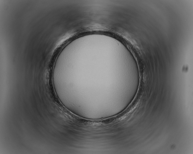 X0000097891309200804041301