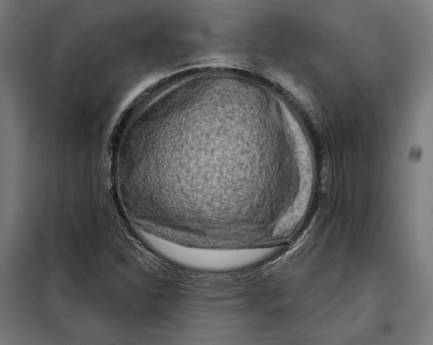 X0000097891310200804041301