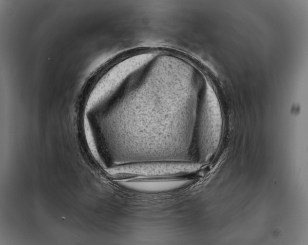 X0000097891311200804041301