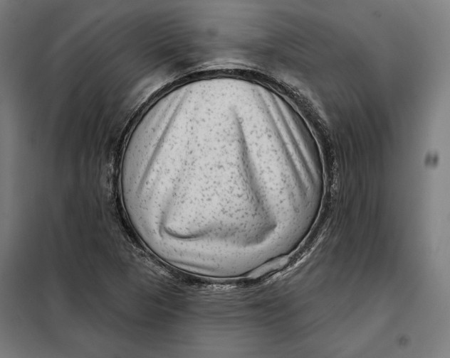 X0000097891313200804041301