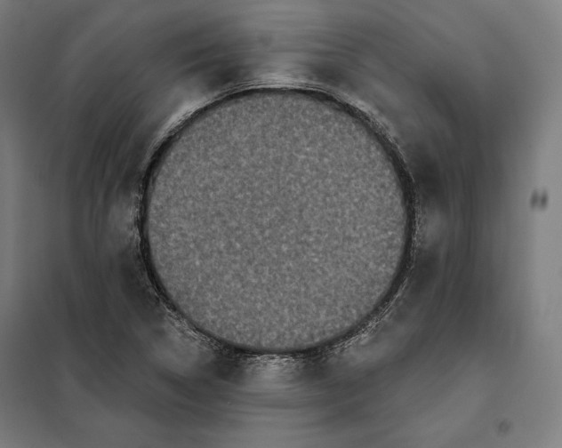 X0000097891314200804041301