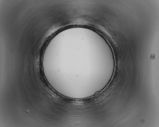 X0000097891315200804041301