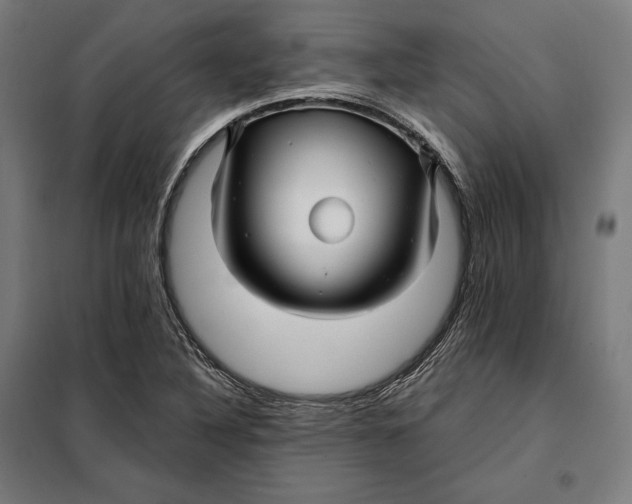 X0000097891316200804041301