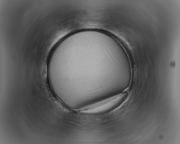 X0000097891317200804041301