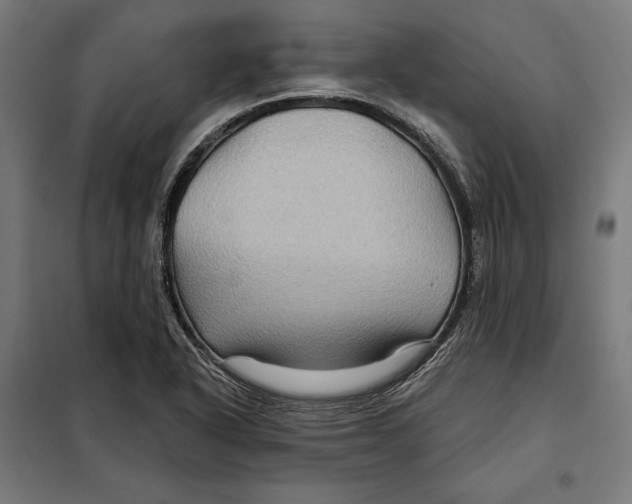 X0000097891318200804041301