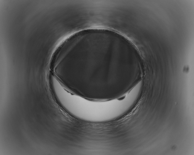 X0000097891319200804041301