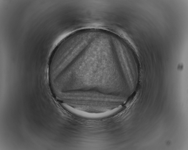 X0000097891320200804041301