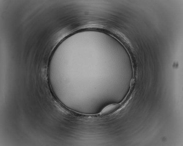 X0000097891321200804041301