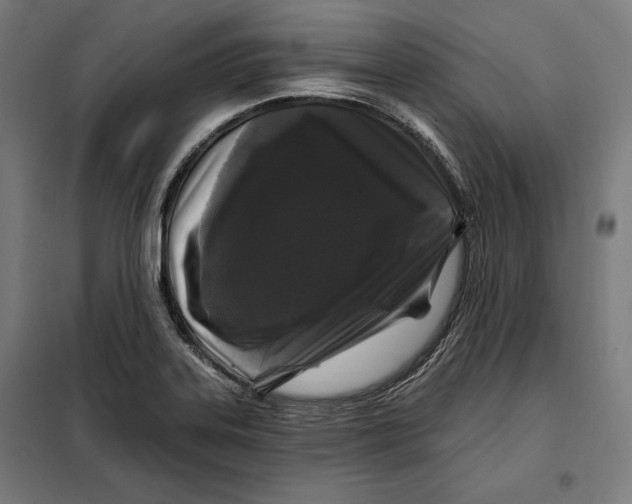 X0000097891323200804041301