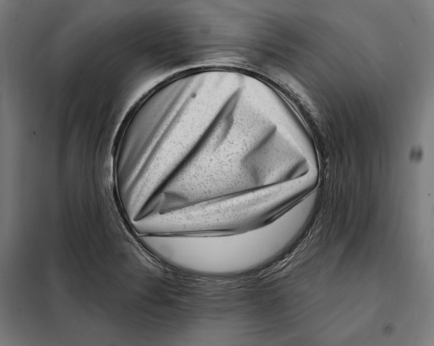 X0000097891324200804041301