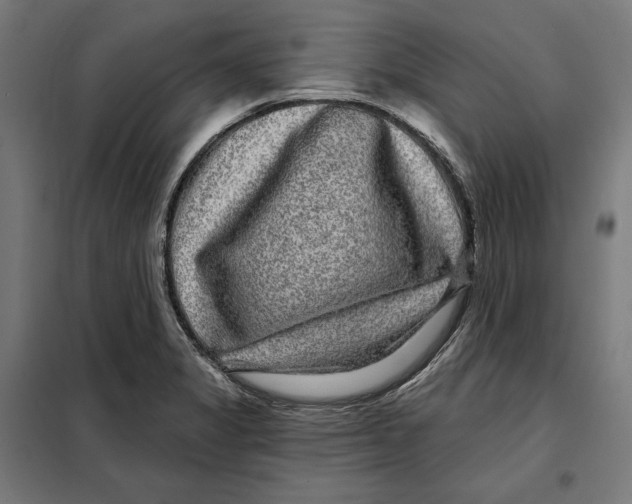 X0000097891325200804041301