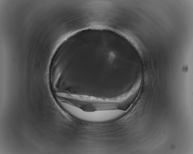 X0000097891327200804041301