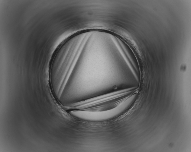 X0000097891328200804041301