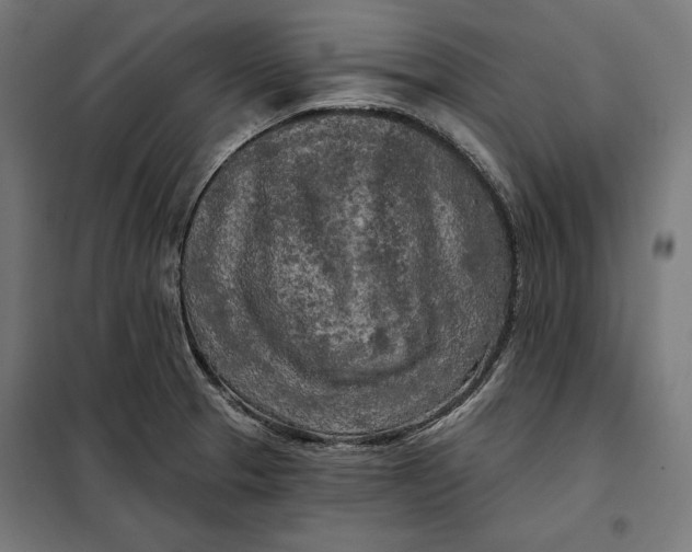 X0000097891329200804041301