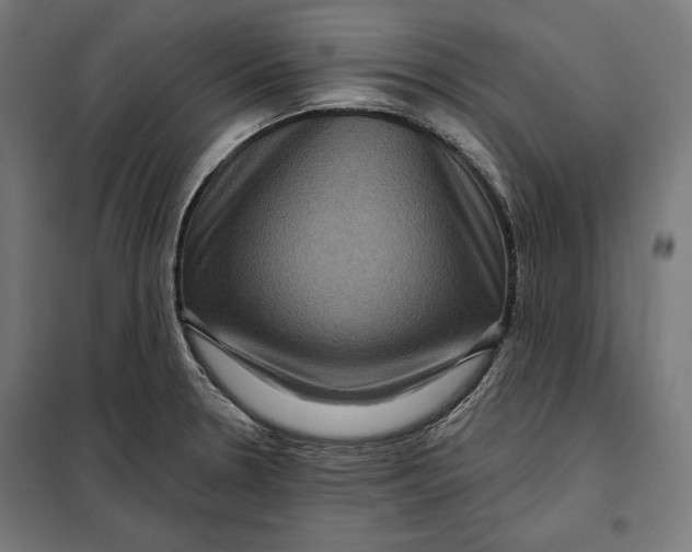 X0000097891330200804041301