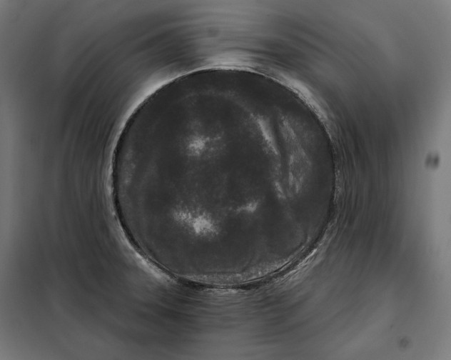 X0000097891331200804041301