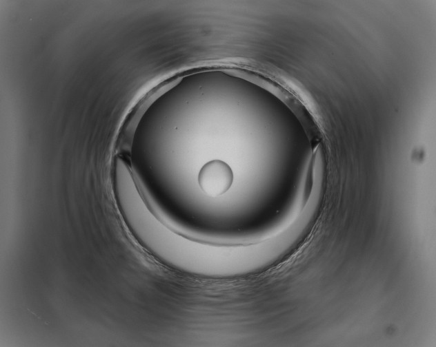 X0000097891332200804041301