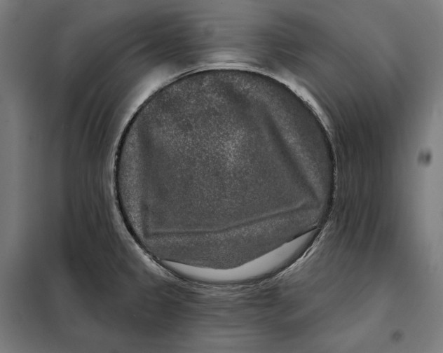 X0000097891333200804041301