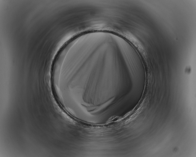 X0000097891334200804041301